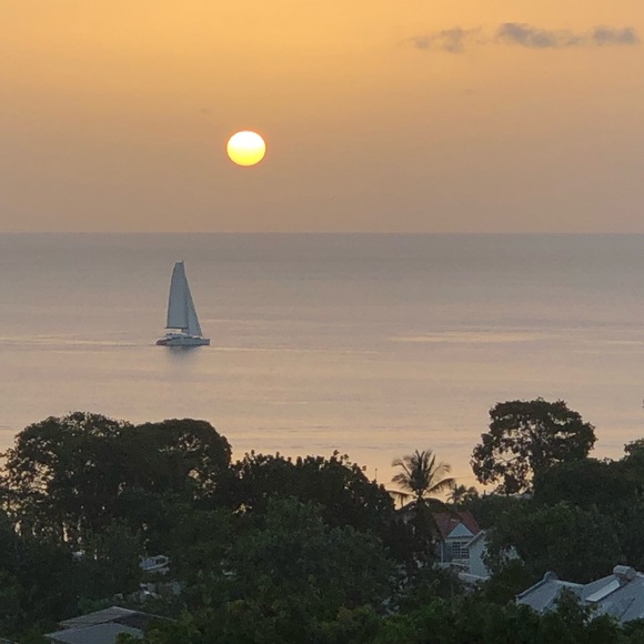 Meet your Posher, Denise - Picture 2 of 2